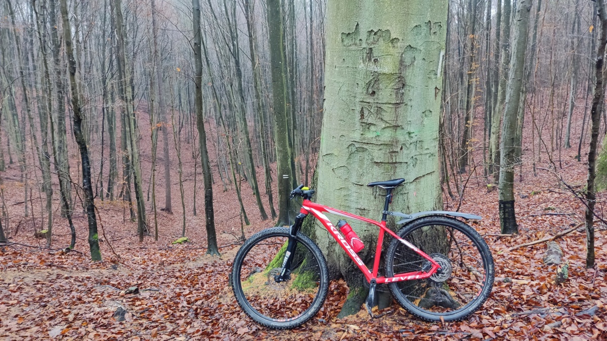 a6bab038-62c5-4b3b-94e2-af781a9752bf