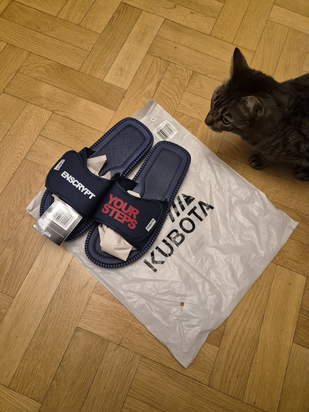 536b5a6e-e124-4ae8-974f-df18fd8c35d6