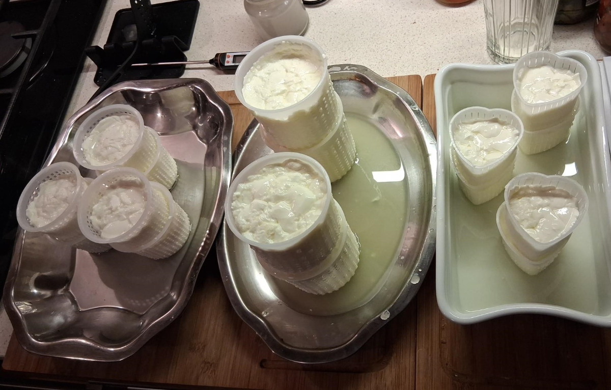 23f185d6-b6d9-426a-a1b6-2647176768df