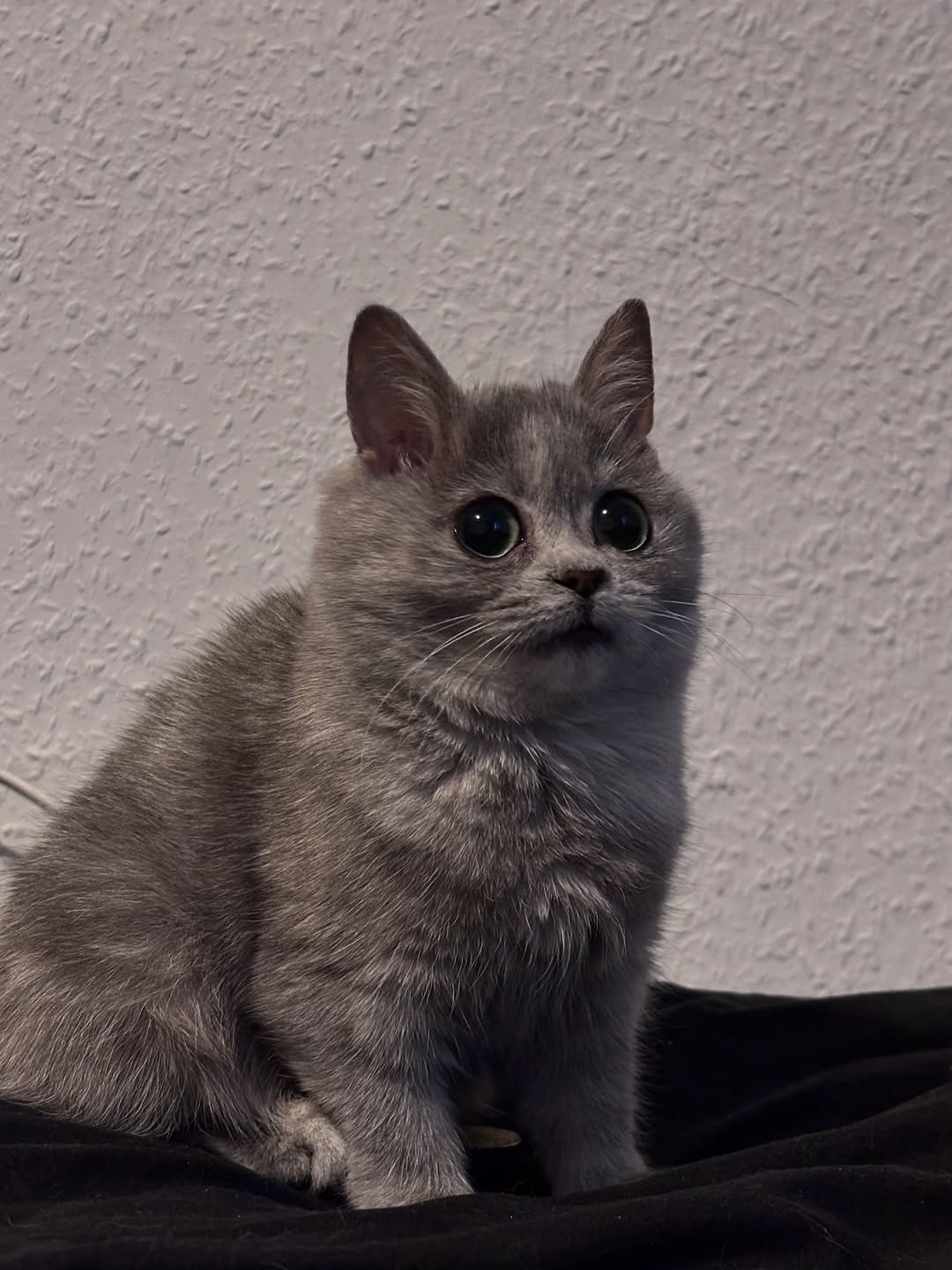 4cde8680-fefd-4cb1-9c09-aef18bdaafc7