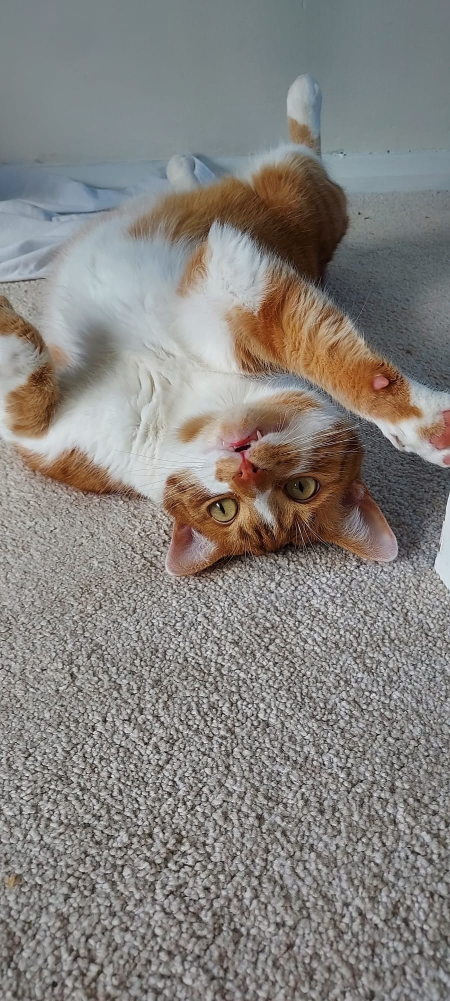 e6a11ad1-6f8d-4038-bc4d-2a794f01ae0f