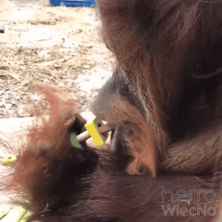 f8c09a97-9e4c-4c34-88d7-560f2dc406d3