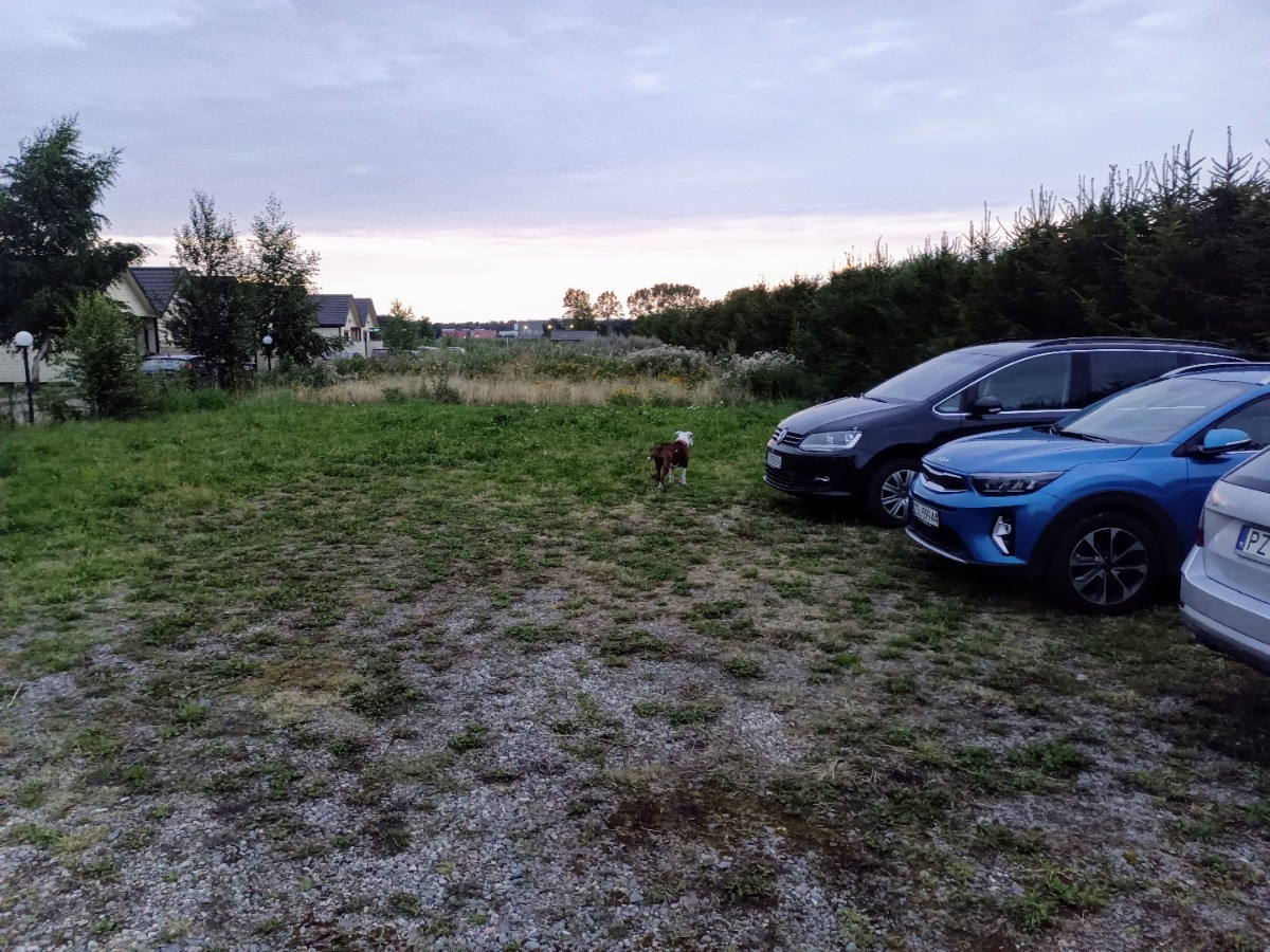 a6347210-73ae-4189-826b-5d6902f863df