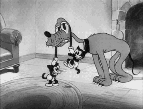 654acf17-1cc1-4efa-a0ee-b156d5aae67b