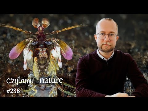 Matma szkolna i matma życiowa - Cios skorupiaka - Super-cewnik DIY | Czytamy naturę 238