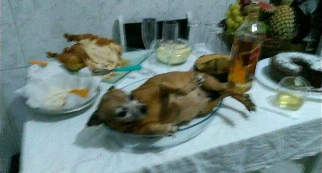 7eafd6d0-ecf5-4d64-a64b-56d92b83242f