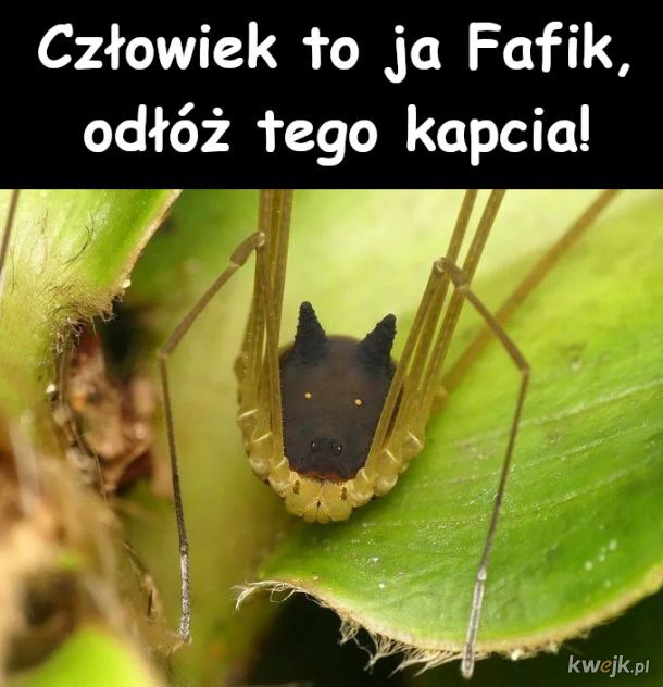 622ad590-6b8a-4fd1-aa61-ce27d61c06b3