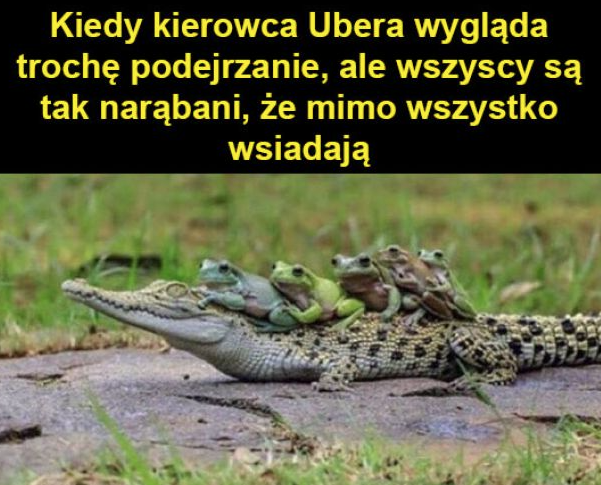 88871302-42f8-4486-8578-810341e24dfc