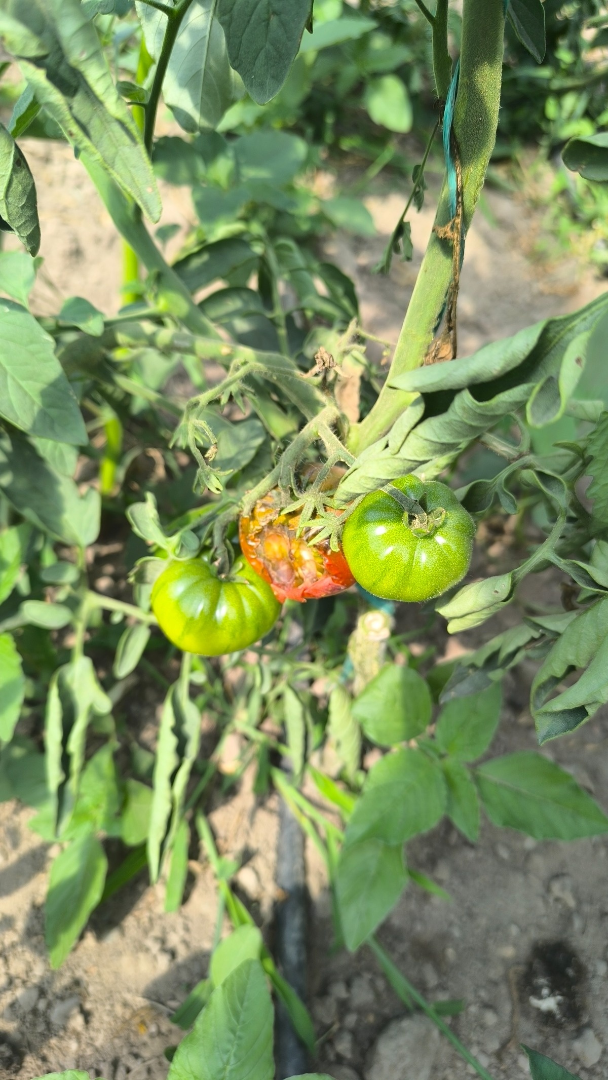 01cf7936-a9fa-40fb-be7b-3393d1b33ce7