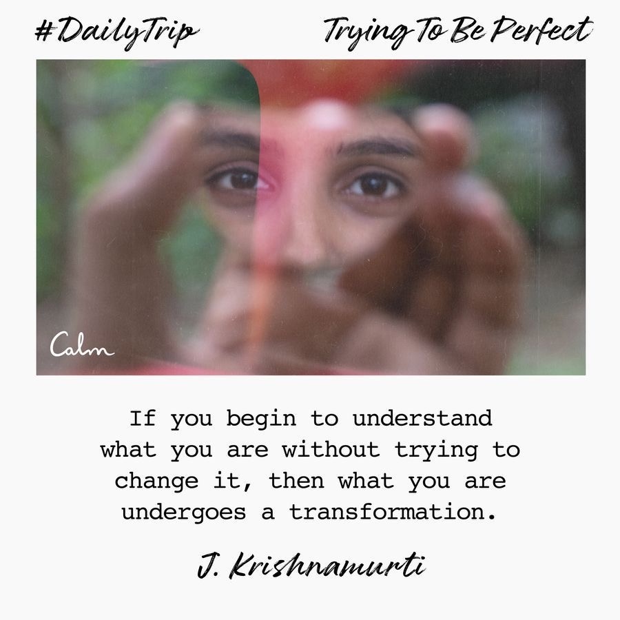 ae591345-8fb2-47ad-a242-93522ce1f7b5