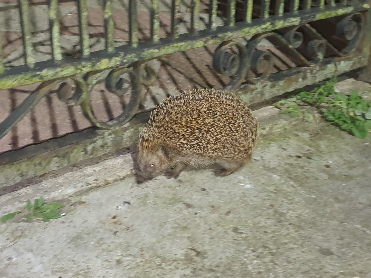 55aa0652-fce4-4072-90c3-a6922da6e0f7