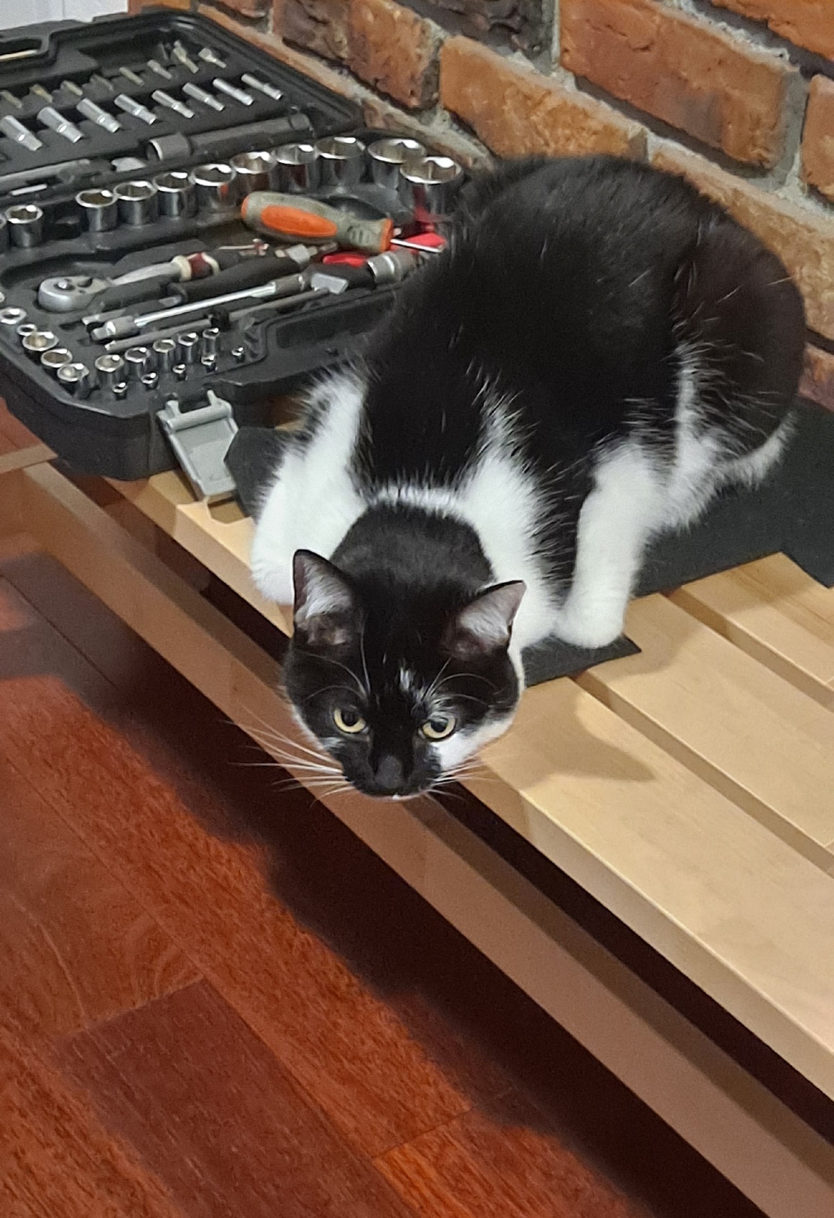 8406ba12-2dfe-491f-a180-888215773d71