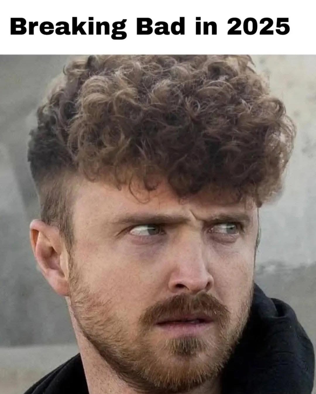 98e8f089-d3b7-49ac-97c9-967a2326ef0f