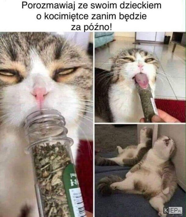 6a51b74a-22d1-4198-8be5-5fbc442d3ca6