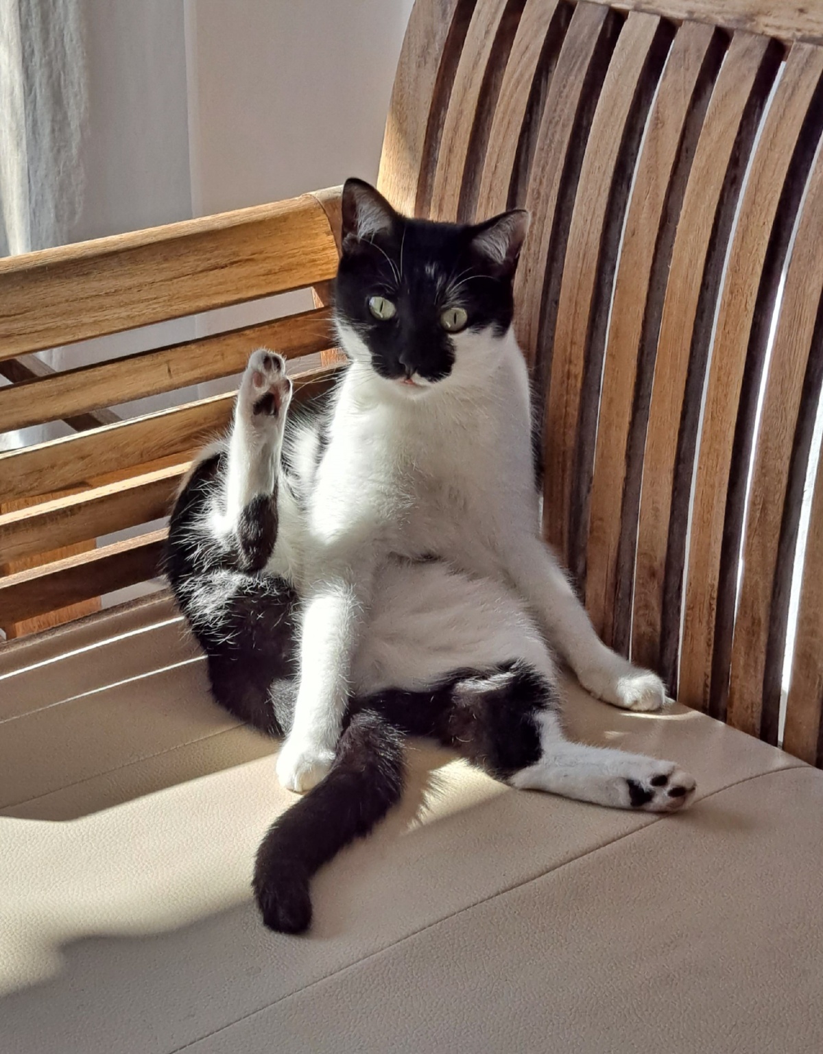 028da40d-c3f0-41a1-a65e-6c95c6d2c7d9