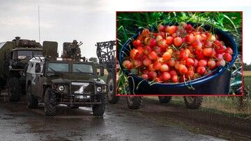 Wojna w Ukrainie. Zatrute czereśnie dla żołnierzy rosyjskich. Opór mieszkańców wobec agresji