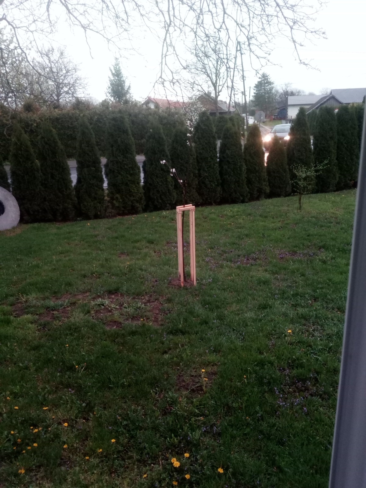 93f0b8a3-1abf-4ee0-bc01-09bb0ac5ba2e