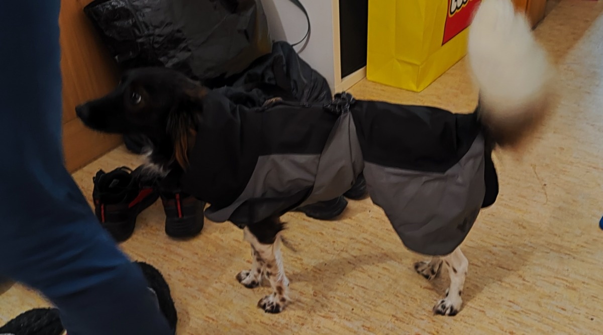 8a7240cb-d94c-4dc4-92d6-f7783dd90ce6