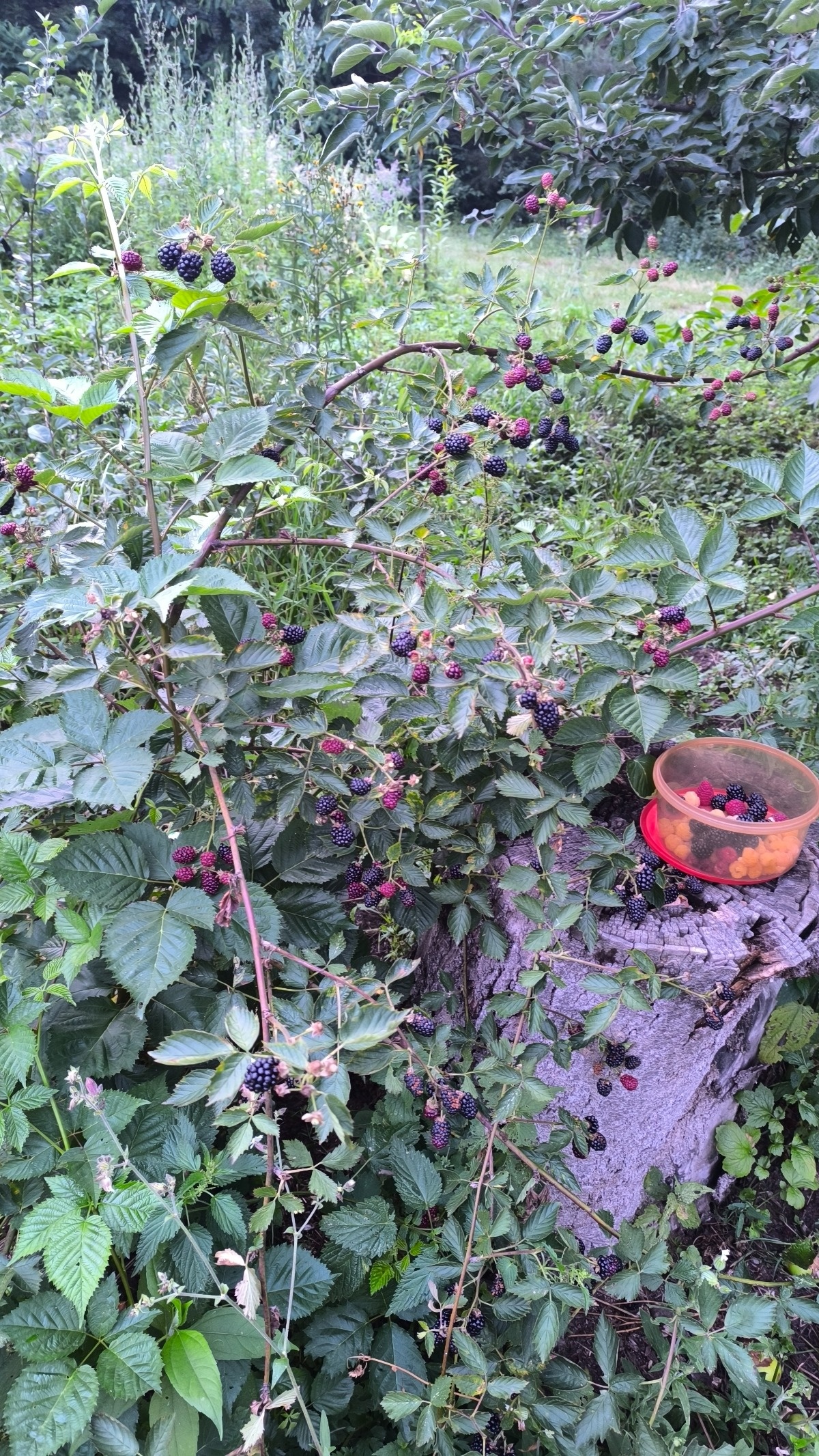 aecdcaf8-c0c0-4279-a3c1-f1bb249e4d45