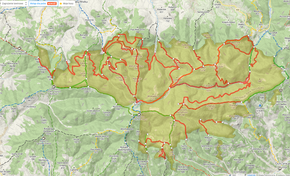 Pies na szlaku – kompletna mapa wstępów w parkach narodowych