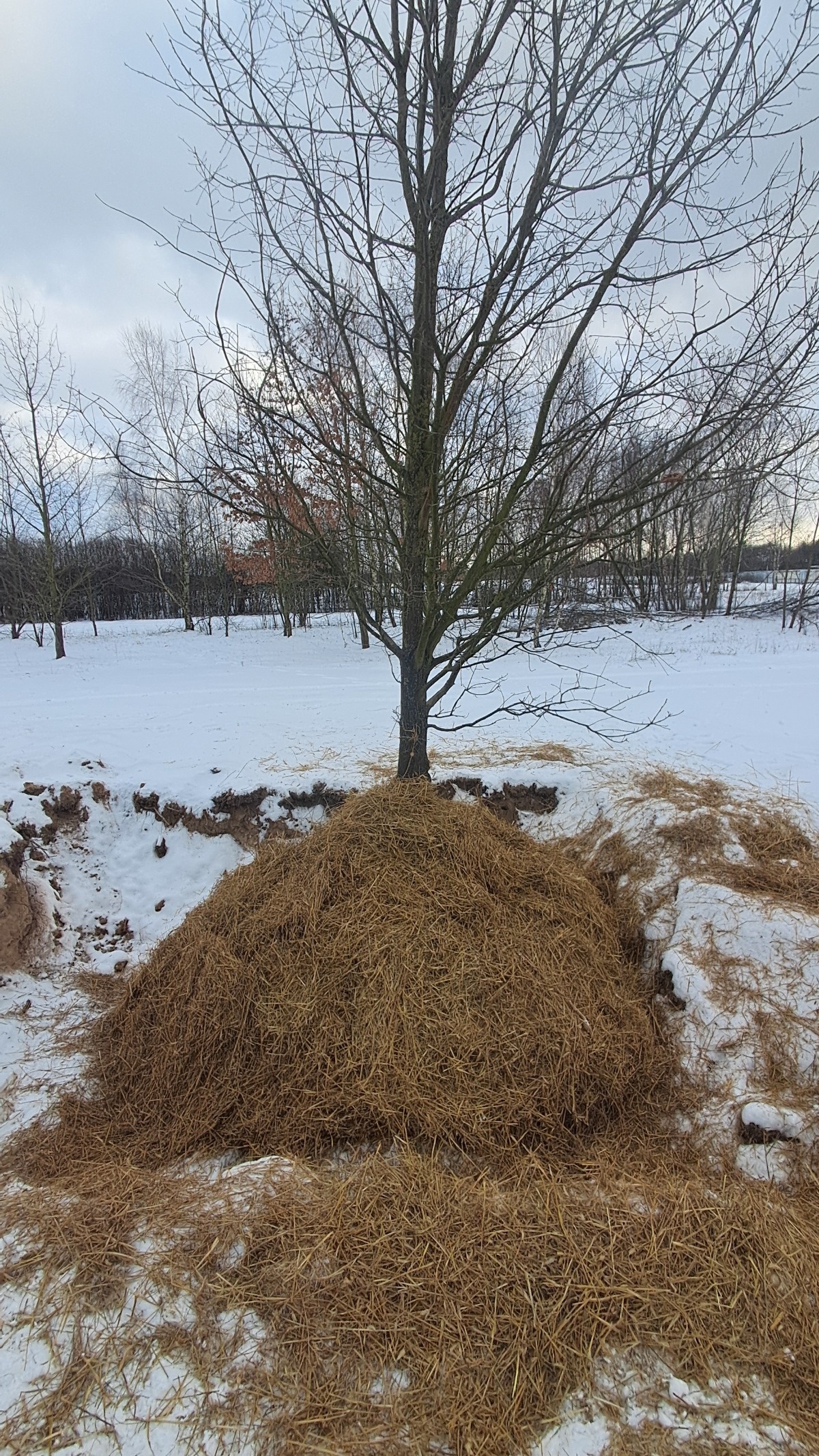 d98f5209-8f19-4c28-ae92-5fb9b90b03cf