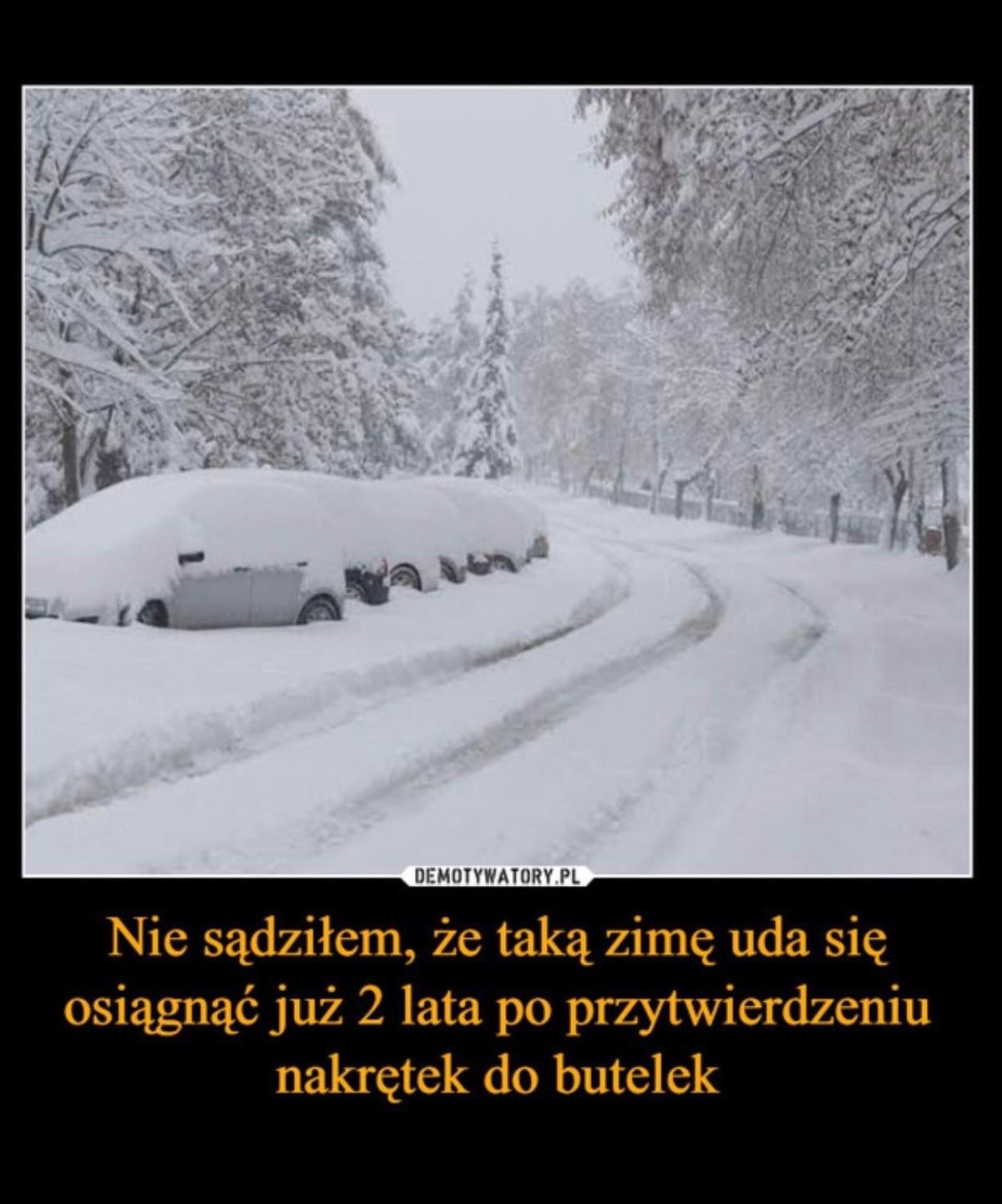 db977cf8-e7ff-4a1e-9a11-720cc2e3a8a5