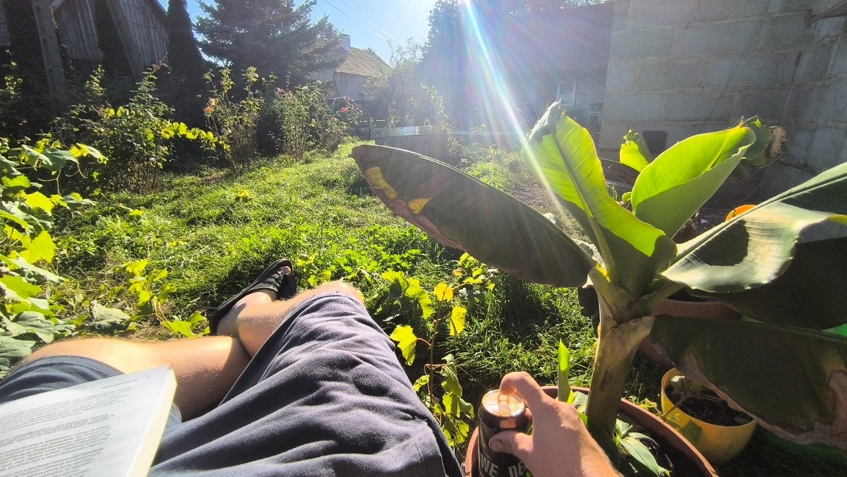 472a62d2-d9fe-4aea-a514-471a3bdd798e