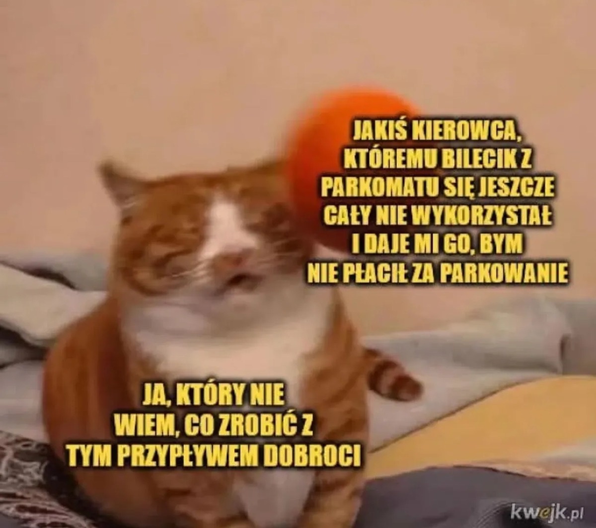 54be853f-cf46-4034-9d4c-bda6c30c76de