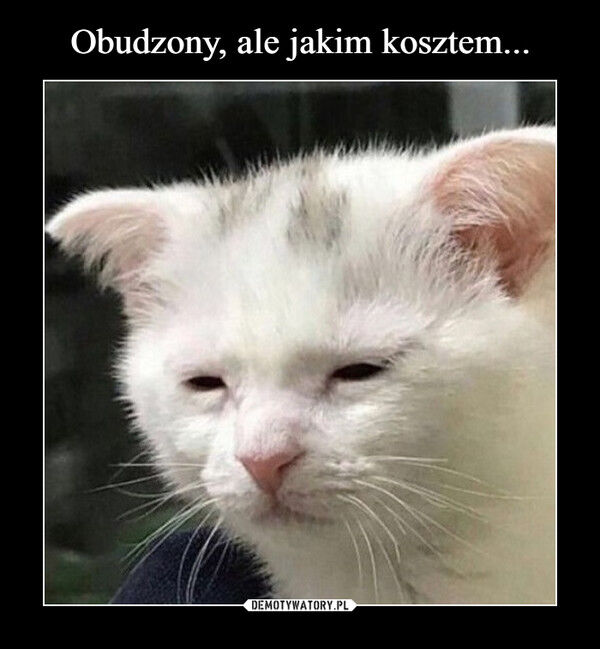 3bc5415d-c48b-4df5-a59c-b71fe8cd8c39