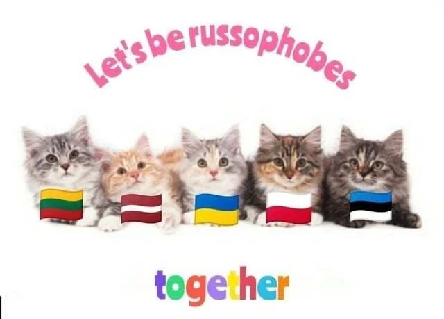 08a66db7-aba4-486b-809d-3500782cb6c3