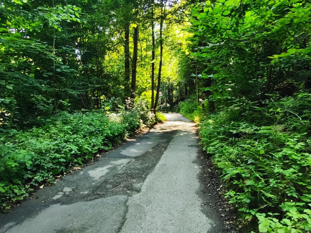 a7844d2b-80ee-4701-ac24-b30a81893352