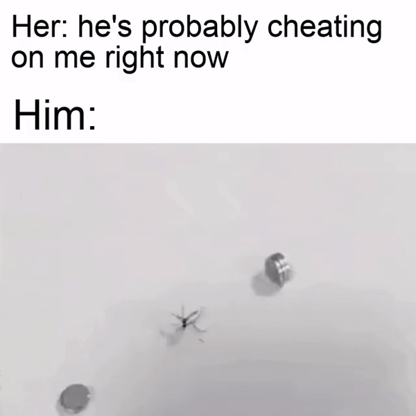 578fe97d-c9d4-4298-b88c-27e3bfa562ab