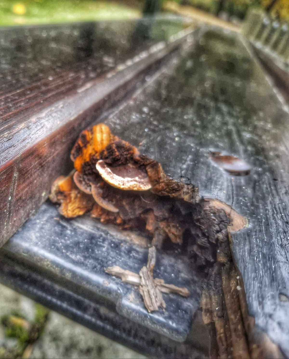 3f175a4f-f8ae-45df-86cf-2d2556608b3e