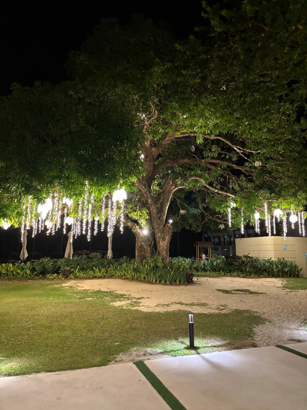 616bf15d-f388-4b02-bcff-e0da2500ef56