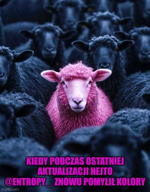 ddc1020d-5b56-43ef-bcb4-3c80032d9a7a