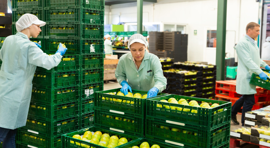 Polski gigant spożywczy ogłasza upadłość. Wierzyciele muszą się spieszyć