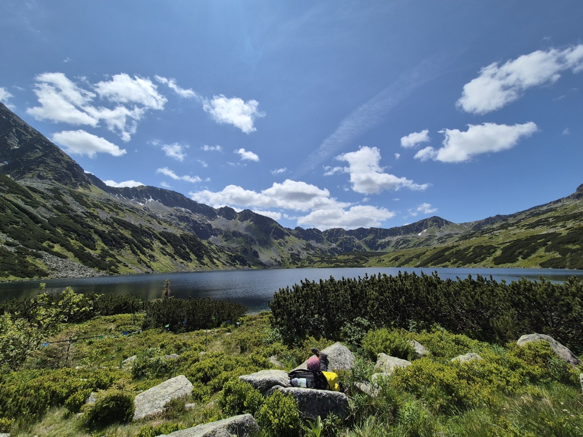 533eed38-c2b3-4130-995e-46eb3f17b137