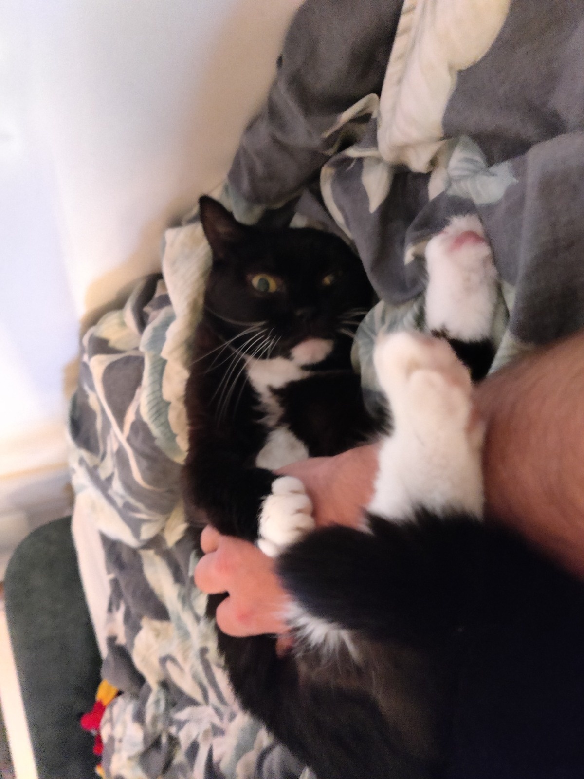 30f7b09b-91ee-4ad5-b8e2-67d9293a81cb