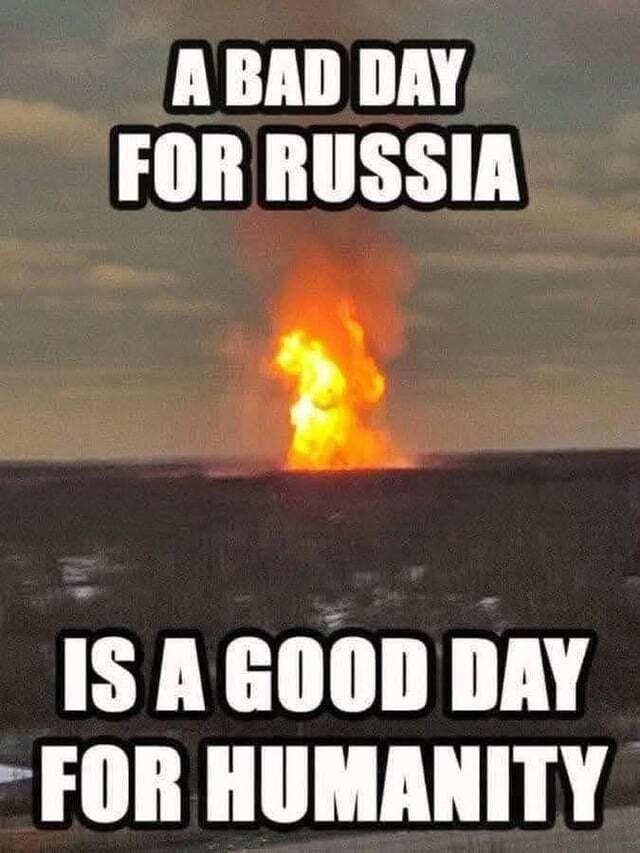 24b14a17-7acd-48ee-a458-c47f5cfa5652