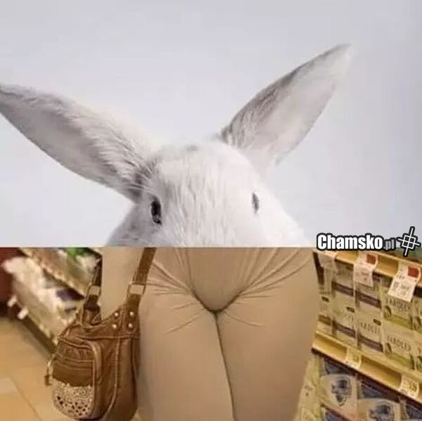 26f5eee5-8bf2-4c95-88bb-9d92db722cfd