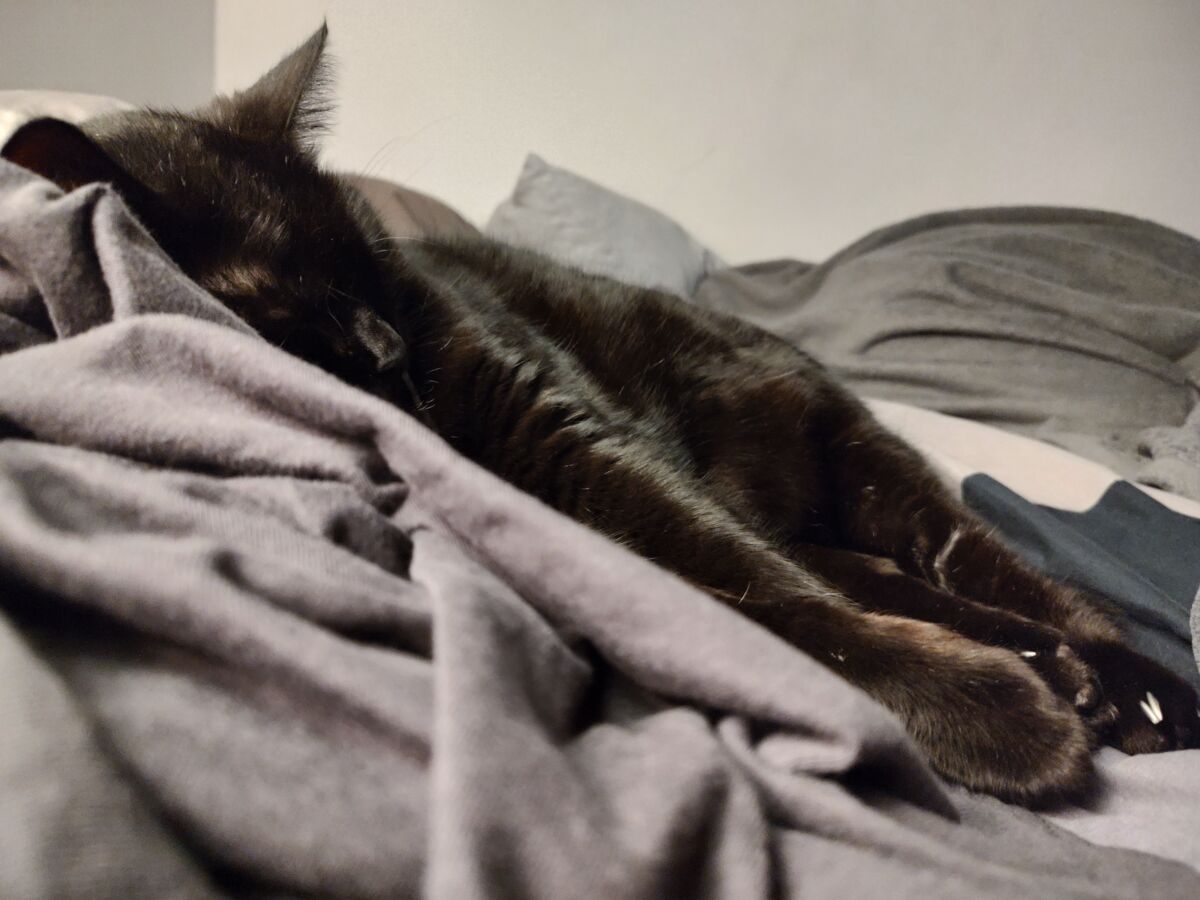 9f0c50b8-e2df-4684-8185-686c659d324b