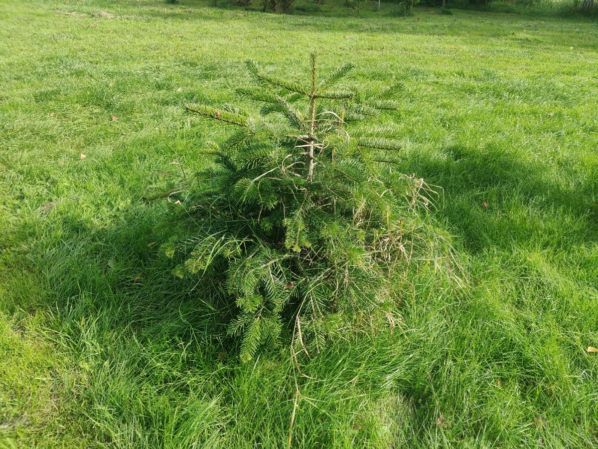 4d1b5bc1-98ba-425a-b61e-6310e2561287