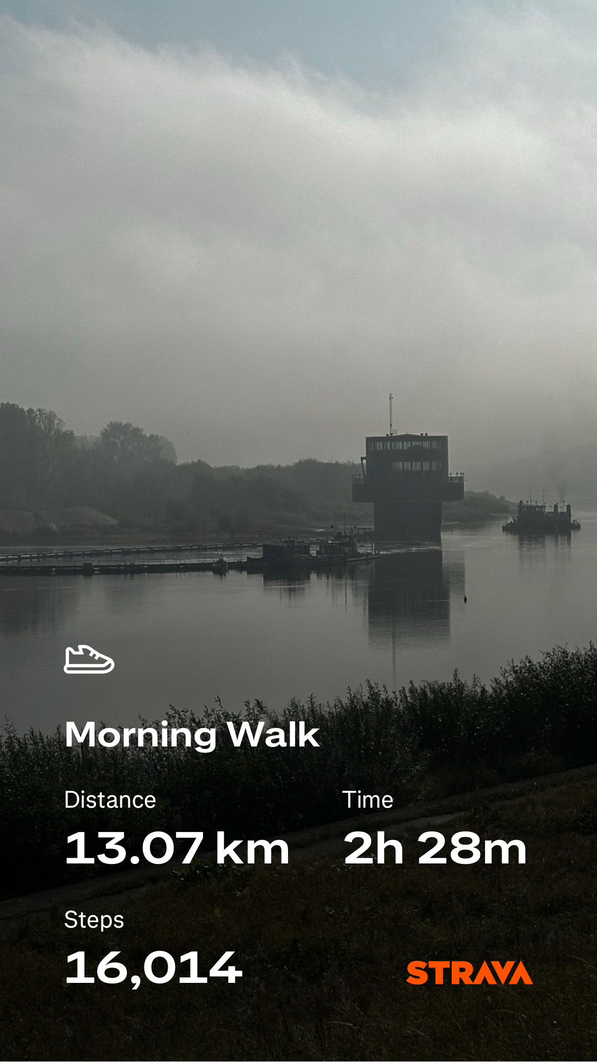 938d608d-aee5-4c02-95fd-670381db80c7