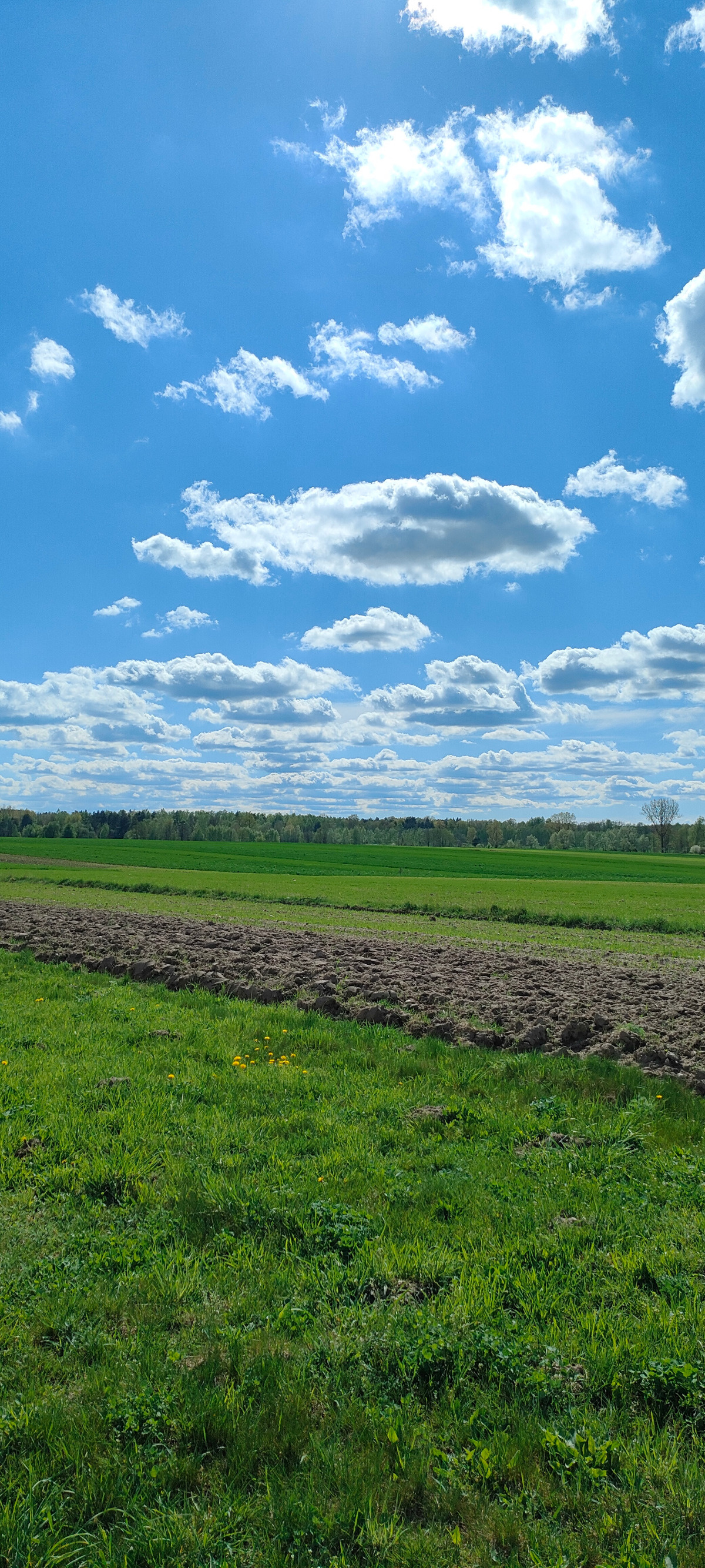 107163c2-dcb7-43a0-889d-6db9a7748e27