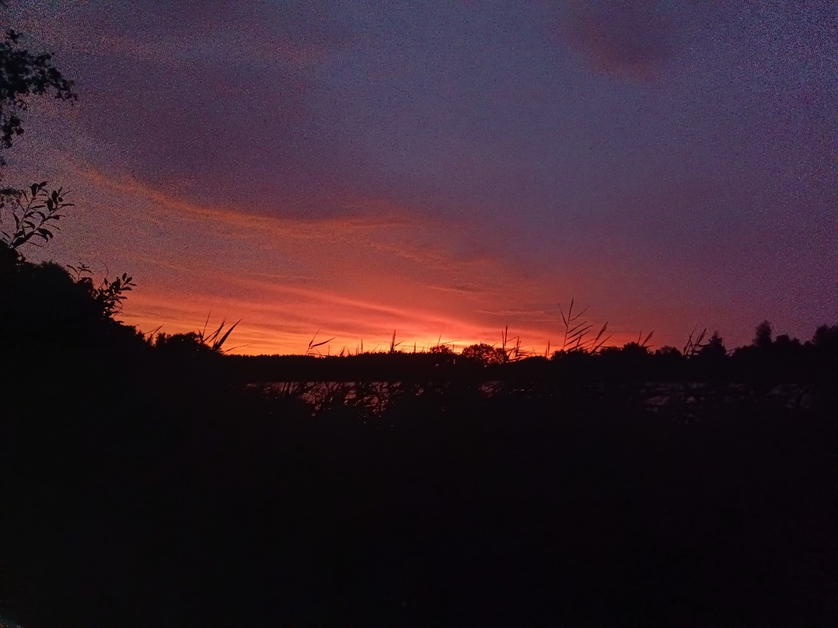 7686f627-8b8c-44ed-a099-b2358170688a