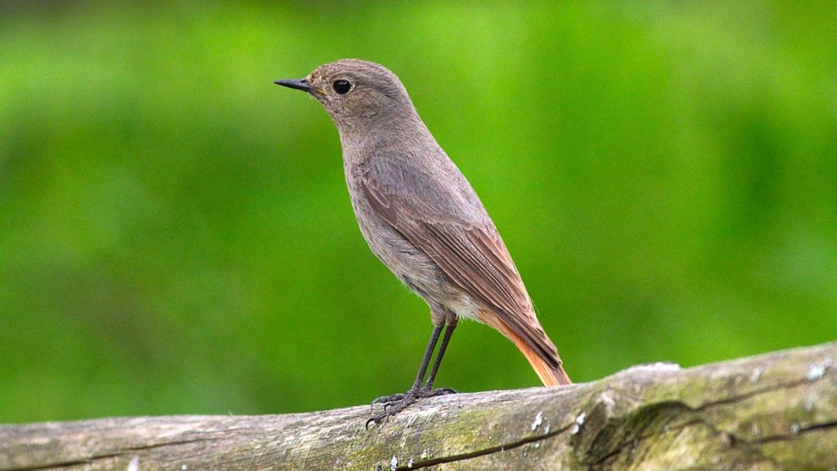 29eca329-5944-4afd-9722-bee56be043f7