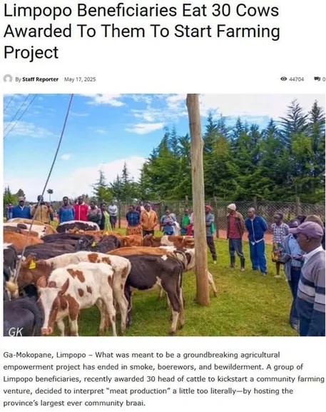 0a9545f1-e05b-4514-8495-c4d87437777a