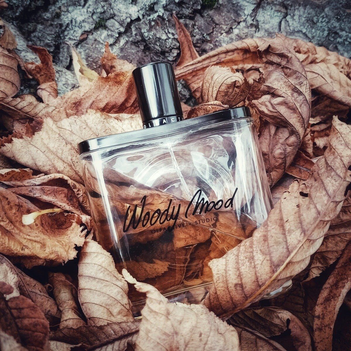 6155e4cc-9a1c-4c32-95ab-e49e38547df7