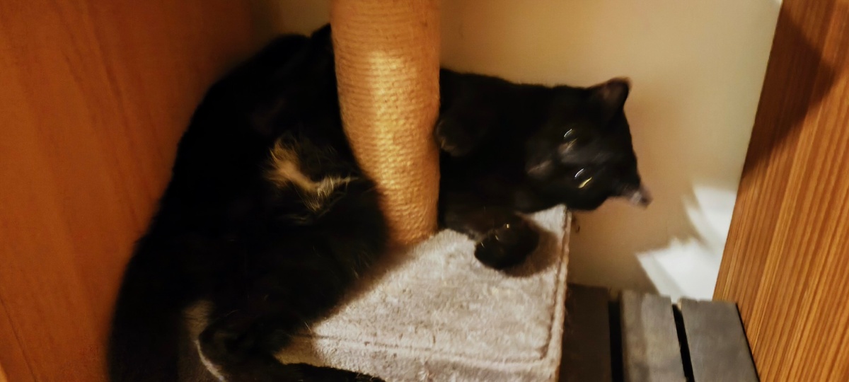 3312d845-ad29-4fc8-8a0d-ec6642d106a0