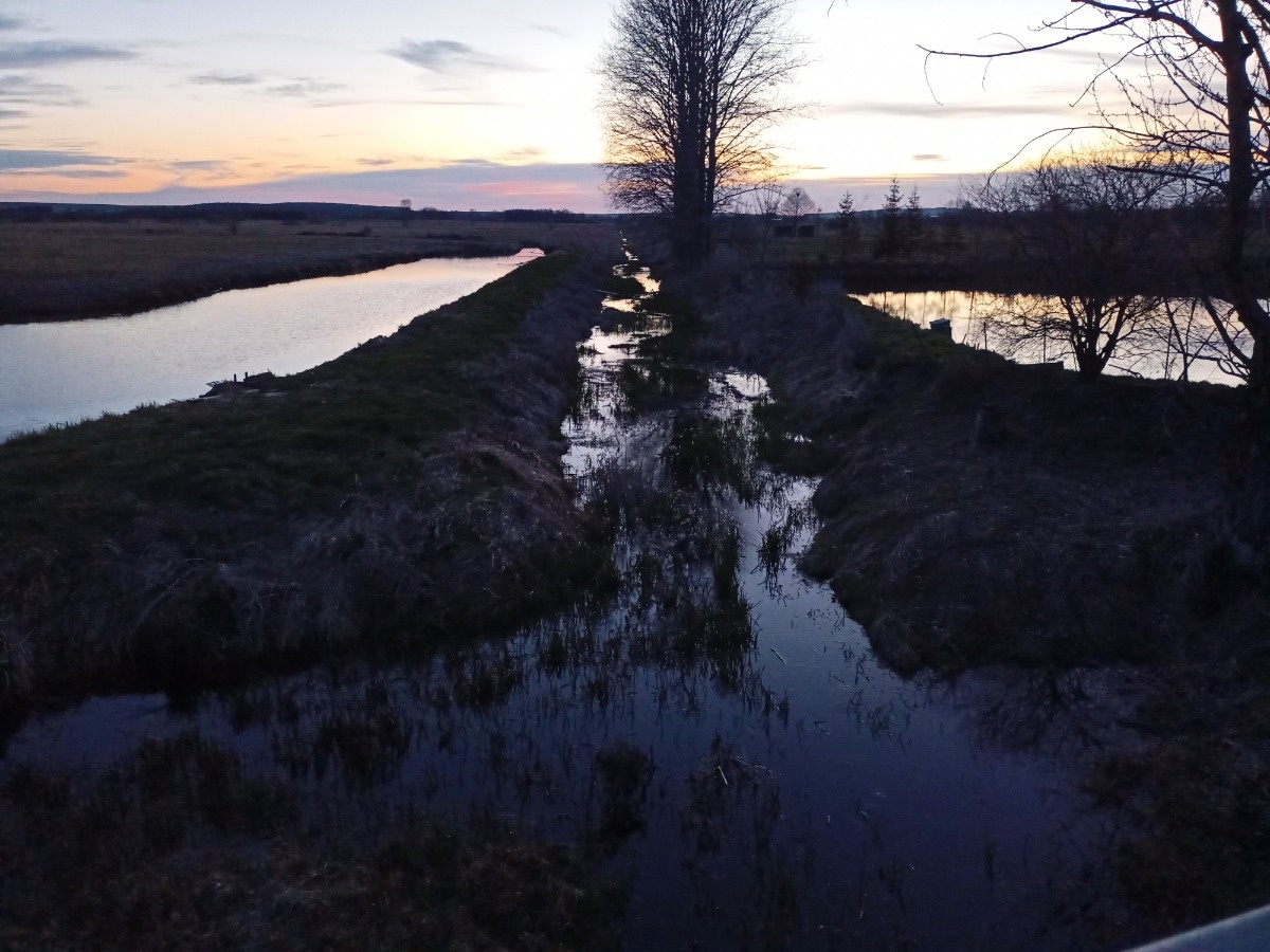 cc719c0c-f584-4f0c-9df2-399fead2037c